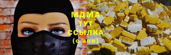 прущие грибы Михайлов