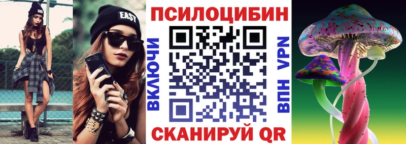 Купить  Смоленск  Псилоцибиновые грибы мицелий 