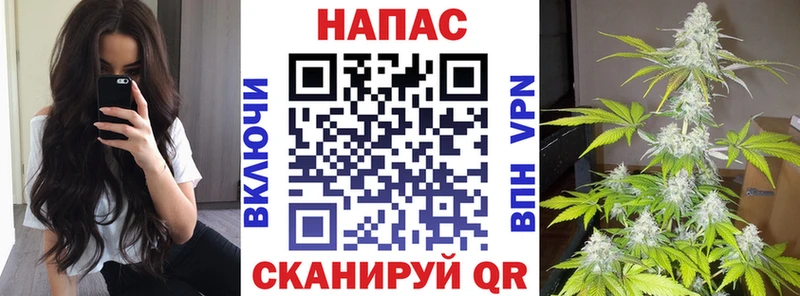 Бошки марихуана THC 21%  Купить где  Смоленск 